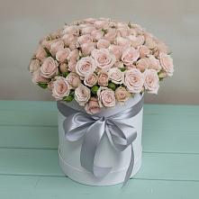 Цветочная композиция из Розы в шляпной коробке #REPLACE_PRED# Калининской Краснодарского края