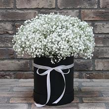 Цветочная композиция из Гипсофила в шляпной коробке в Калининской Краснодарского края