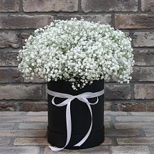 Цветочная композиция из Гипсофила в шляпной коробке в Калининской Краснодарского края